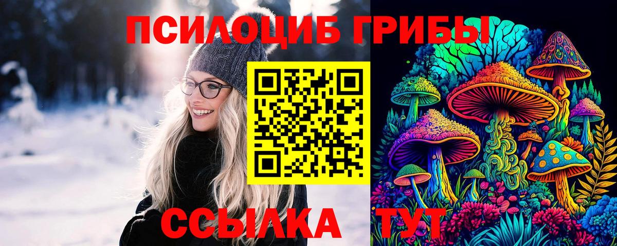 Губаха  Псилоцибиновые грибы Magic Shrooms  купить наркотики сайты  Вход с VPN  Псилоцибиновые грибы Psilocybine cubensis 
