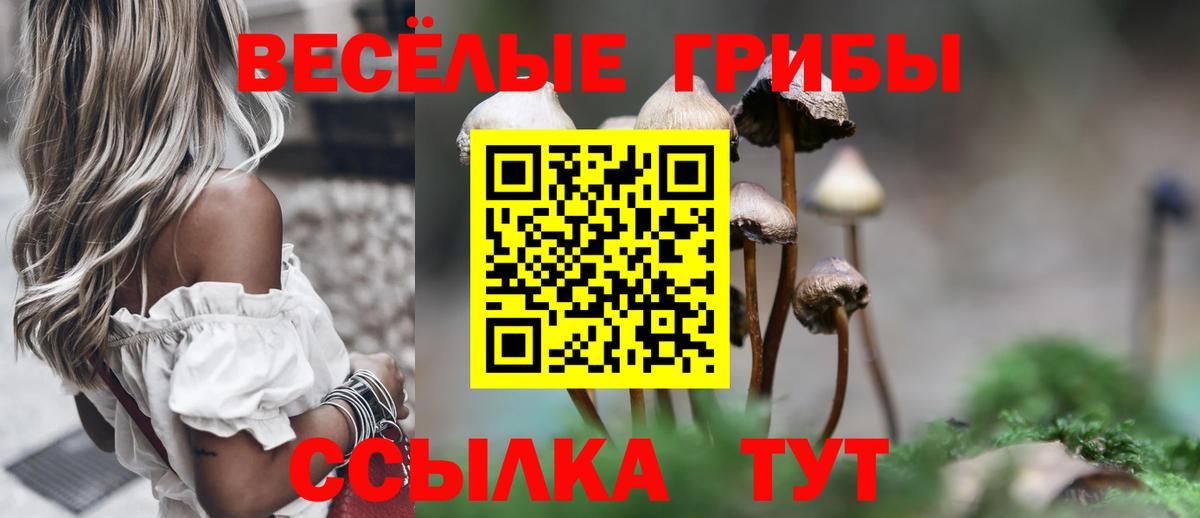 Галлюциногенные грибы ЛСД Губаха